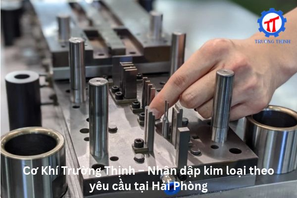 Truong Thinh Mechanical – Custom Metal Stamping in Hai Phong