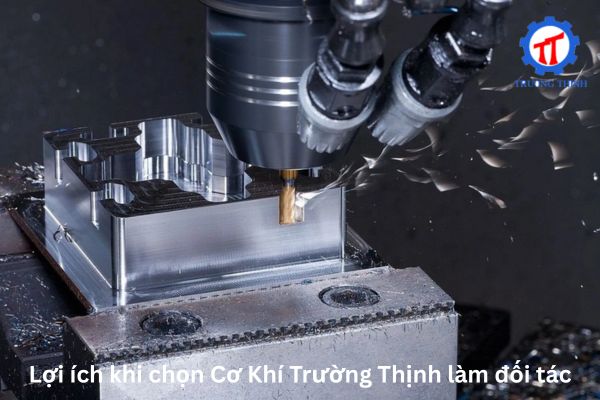 Lợi ích khi chọn Cơ Khí Trường Thịnh làm đối tác